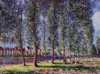 Sisley, Alfred - Lane of Poplars at Moret
